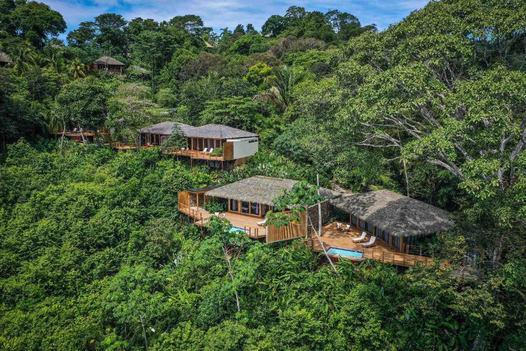 希门尼斯港Lapa Rios Lodge by Böëna的丛林中房屋的空中景观