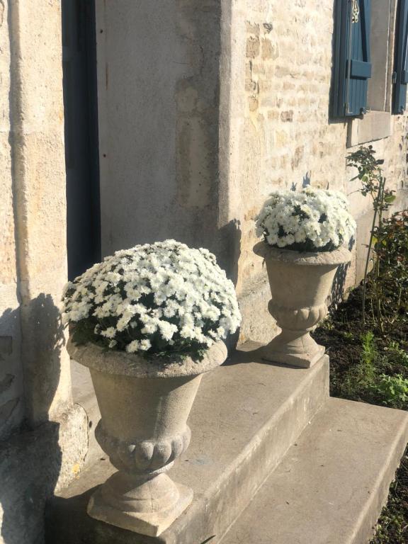 DamvixLa Belle Epoque - Chambres d'hôtes & SPA的两瓶装满白色花的花瓶,坐在台阶上