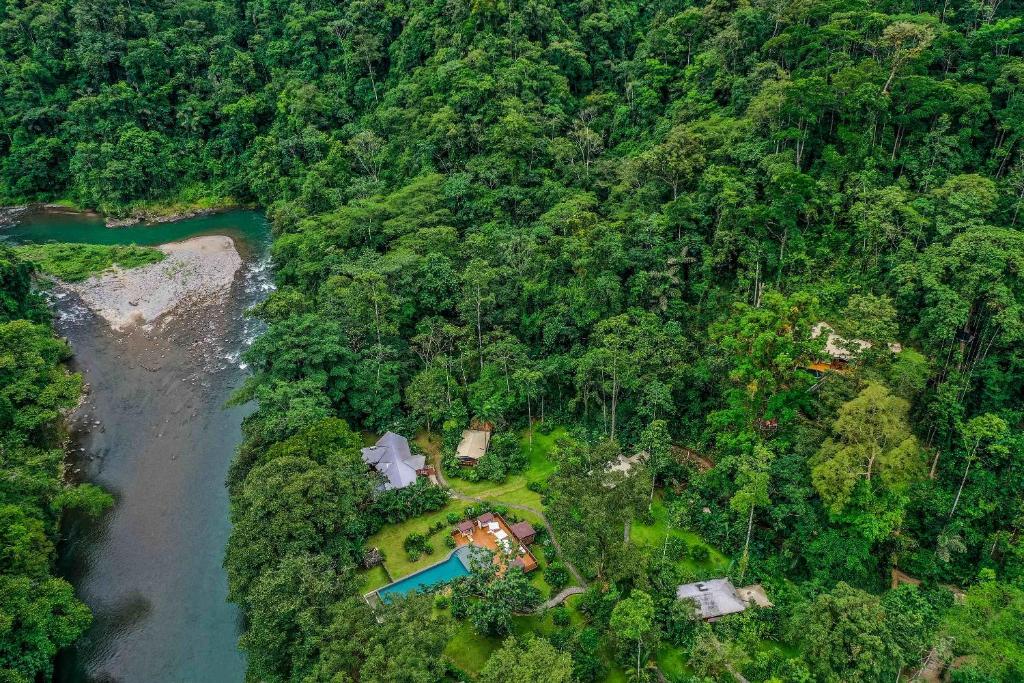 Bajo TigrePacuare Lodge by Böëna的河流旁森林中房屋的空中景观
