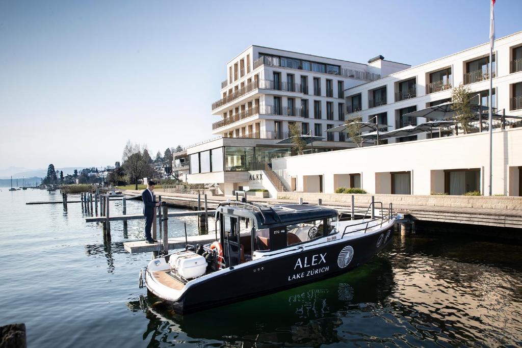 塔尔维尔Alex Lake Zürich - Lifestyle hotel and suites的一艘小船停靠在码头