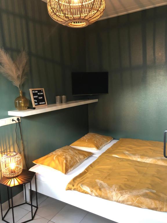 弗劳温普尔德尼波公寓的配有电视和台灯的客房内的两张床