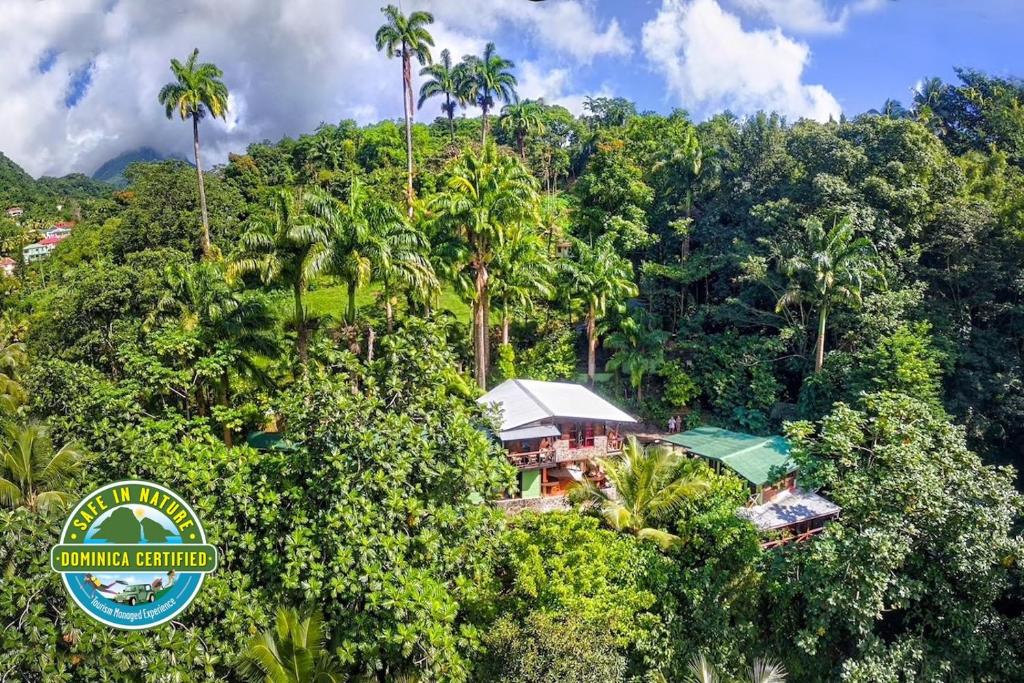 罗索Cocoa Cottage的丛林中房屋的空中景观