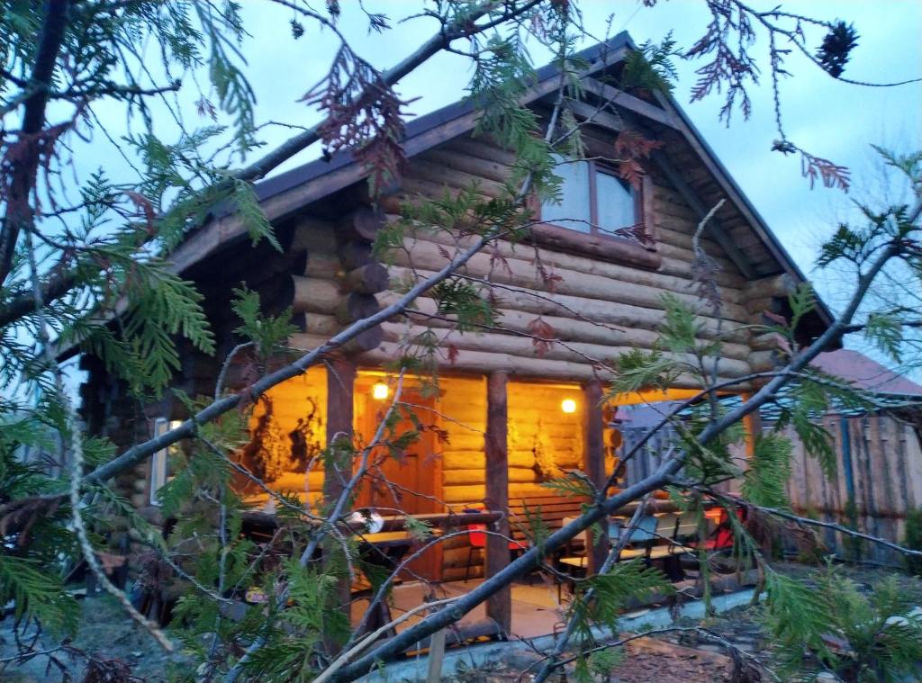 Novaya GreblyaКотедж ,,Чудовий"з банькою的夜间树林里的小木屋