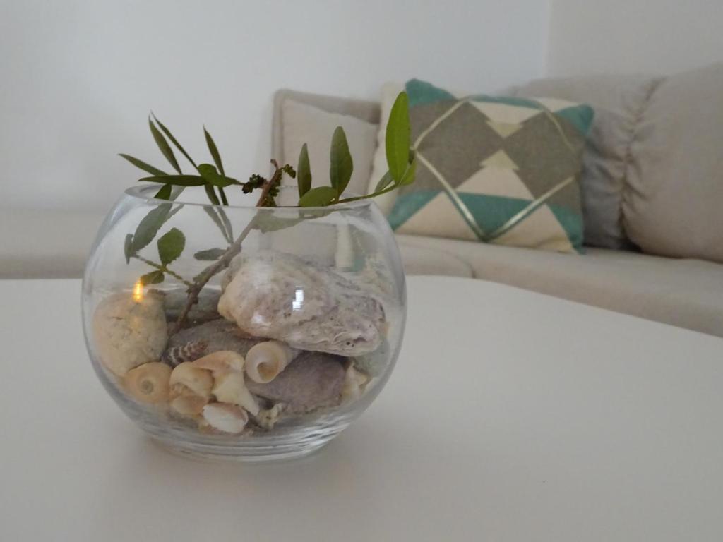 萨度拉德Eco Apartments Kate的充满岩石和植物的玻璃瓶