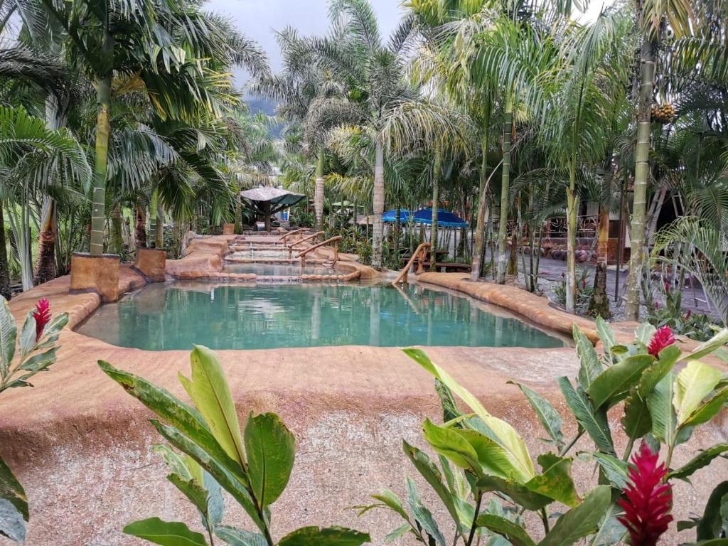 福尔图纳Hotel Palmera Real Hot Springs的棕榈树度假村中心的一个游泳池
