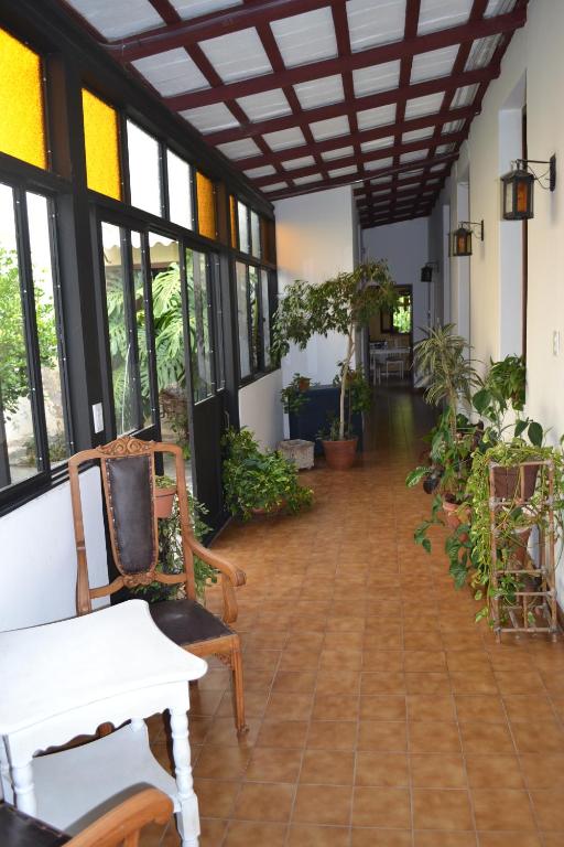 萨尔塔Casona Leguizamon的充满了许多窗户和植物的房间