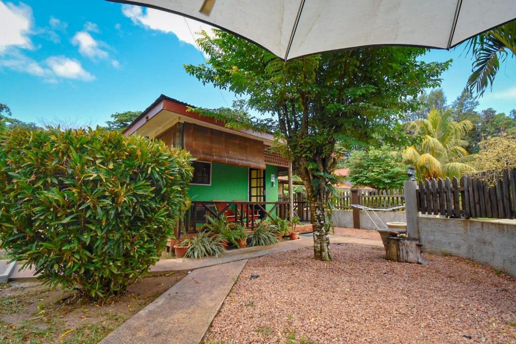 拉迪格岛Fern Lodge Self Catering的前面有一把雨伞的绿色房子