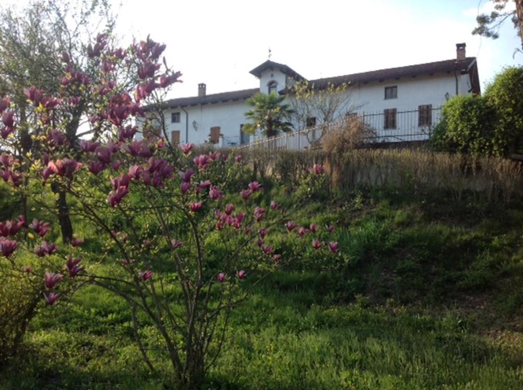 Castellero卡希纳加阿尔迪纳酒店的山丘上一座房子,院子里有粉红色的花