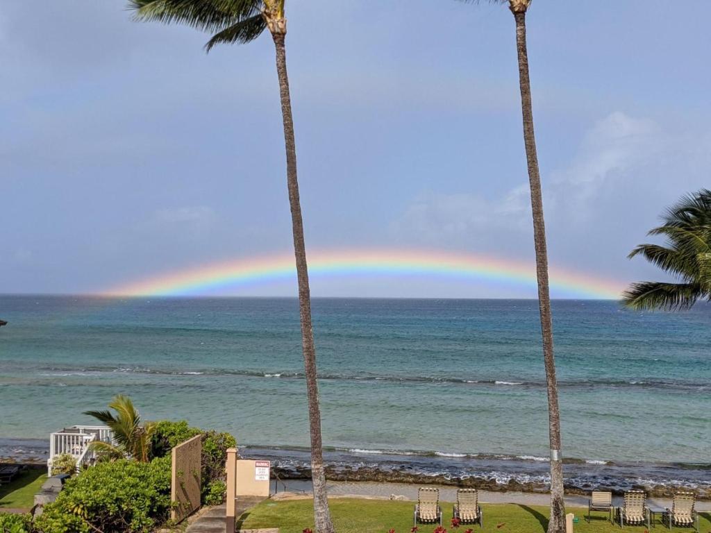 拉海纳Stunning Sunsets and Oceanview's at Paki Maui的棕榈树下在海洋上的彩虹