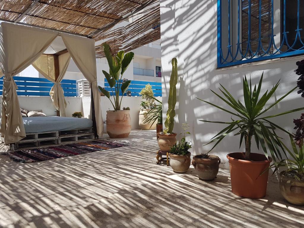 苏塞Dar Doudi的一个带盆栽的门廊和一张位于房间里的床
