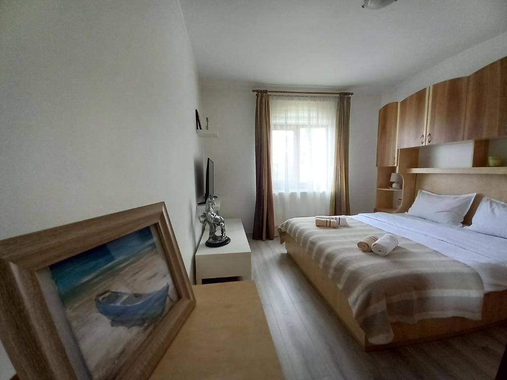 茹里洛夫卡Casa Crinei的卧室配有一张床,地板上画着一幅画