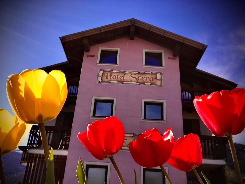 StrignoHotel Spera的前面有红色和黄色的郁金香的建筑