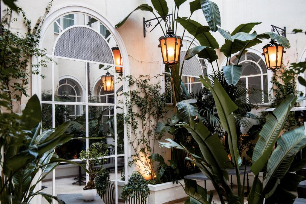 罗马威龙酒店 - 世界小型豪华酒店的充满植物和灯光的房间