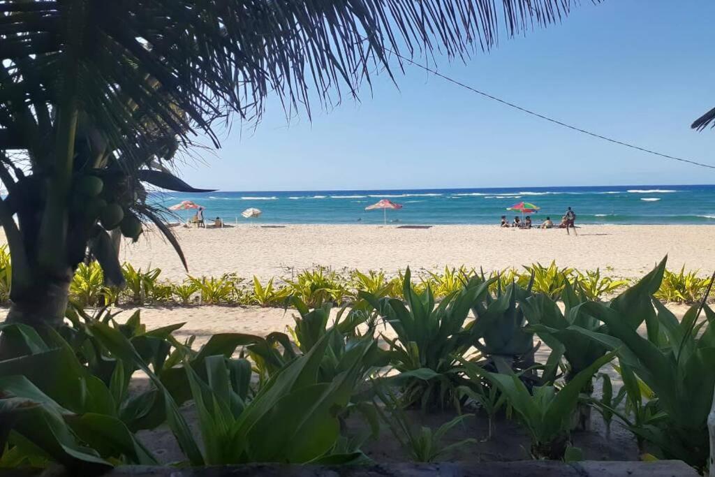 伊尼扬巴内Casa Alegria Tofo Beach的海滩上有人和遮阳伞海滩