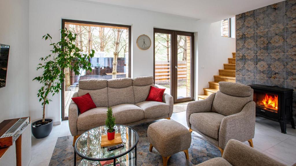 德鲁斯基宁凯Pine Home的客厅配有沙发、椅子和壁炉