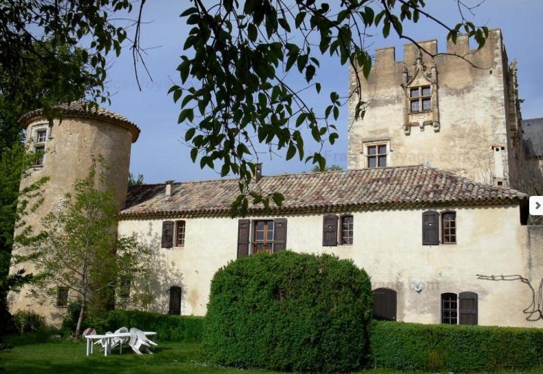 普罗旺斯地区阿莱马尼Concièrgerie du Château d'Allemagne En Provence的一座古老的城堡,前面设有一张桌子