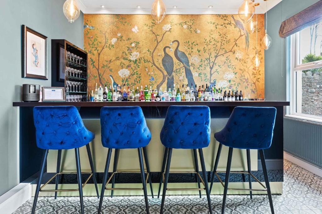托基The Torcroft的酒吧设有蓝色的酒吧凳和壁纸