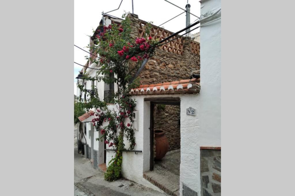 格拉纳达Casa Fuensanta balcón al mar de la Alpujarra的白色的建筑,花朵在建筑的一侧