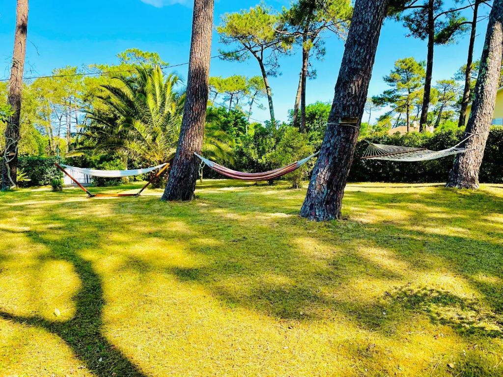 拉本讷Villa Dune & Océan的公园内两棵棕榈树之间的吊床