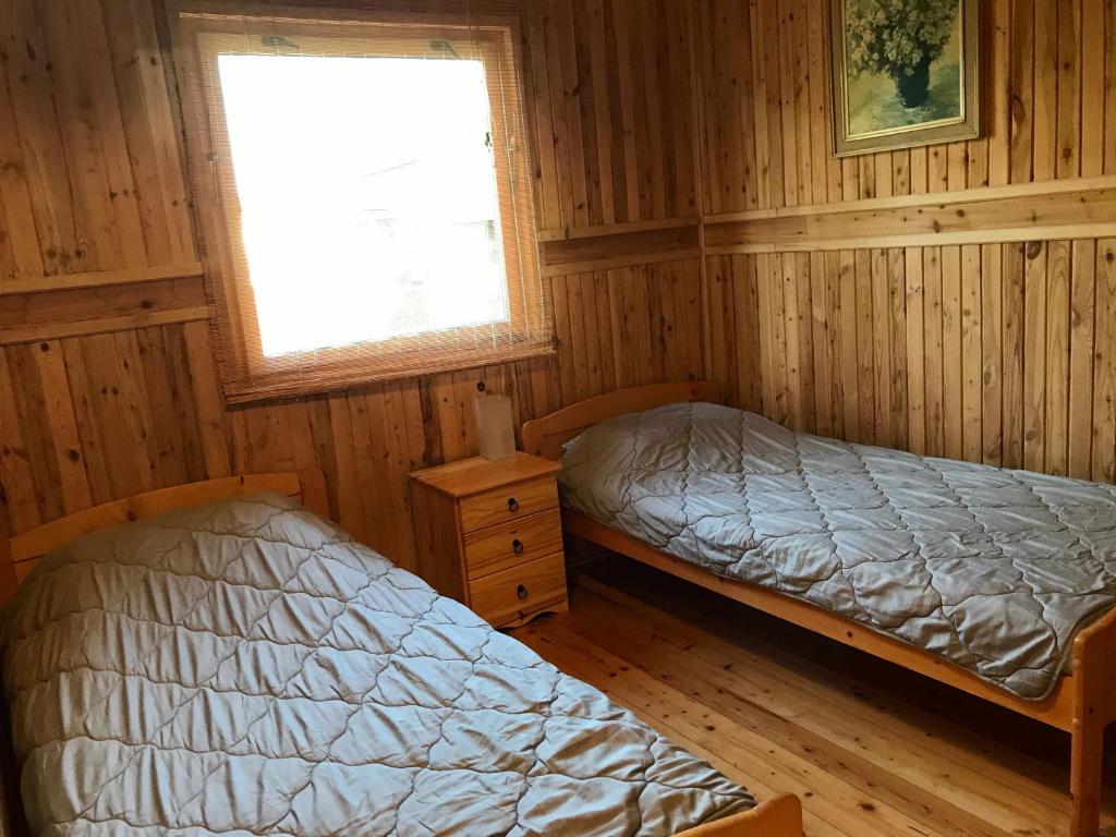 德兹维济诺Domek Green Dźwirzyno的配有木墙和窗户的客房内的两张床