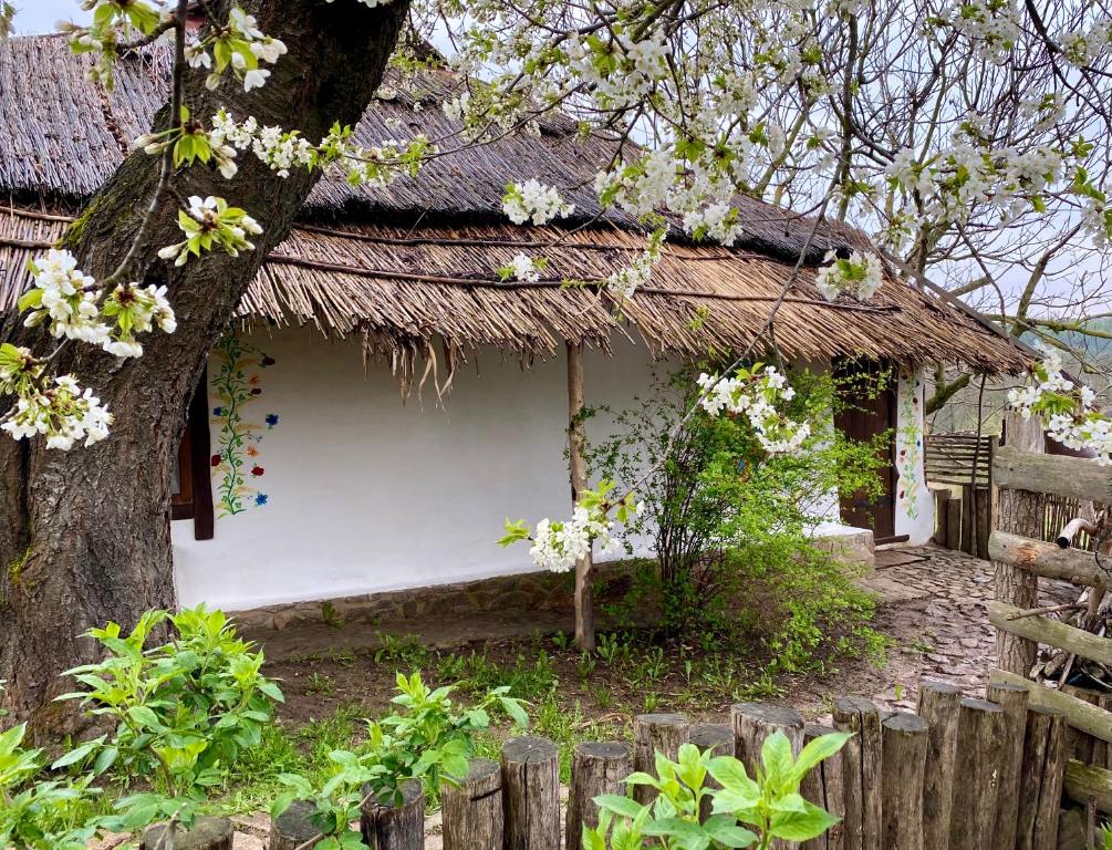 DmitrenkiЕкосадиба Лісова Казка的茅草屋顶和树的小房子