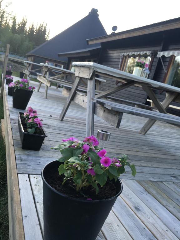 BorgafjällCamp Borga的一个带花盆和野餐桌的甲板