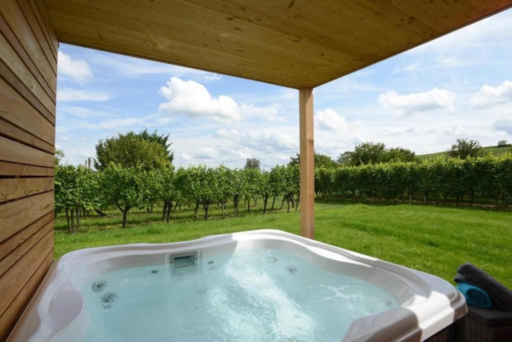 于纳维Clos des Vignes的享有田野景致的热水浴池