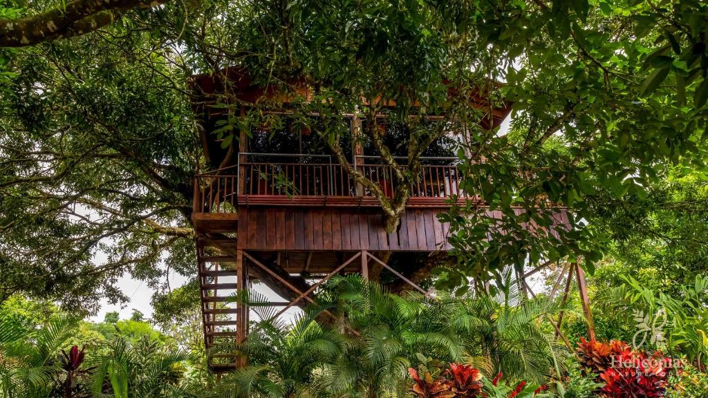 Hotel Heliconias Nature Inn &amp; Hot Springs外面的花园
