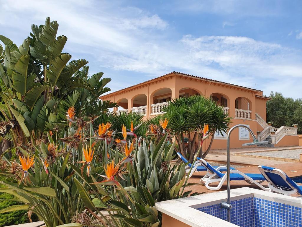 La CabanetaCa´n RoSer的一个带椅子和植物的游泳池的度假酒店