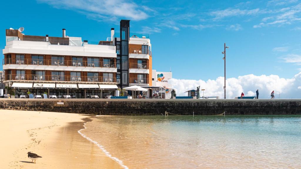 科拉雷侯Hotel Boutique La Marquesina - Adults Only的海滩上的一座建筑,在沙滩上鸟儿