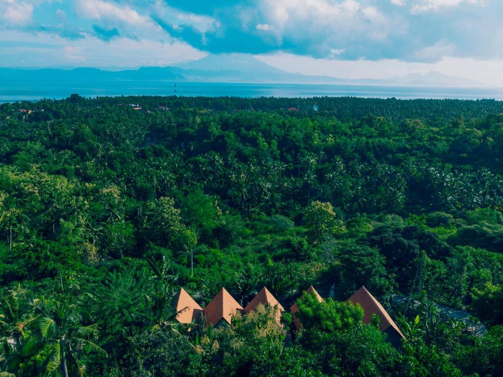 珀尼达岛Bukit keker cottage的森林的空中景观,前方有房屋