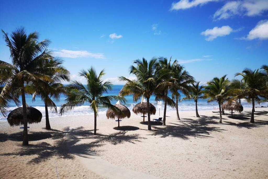 查梅Playa Caracol, Punta Chame, Panamá的海滩上一棵棕榈树和大海