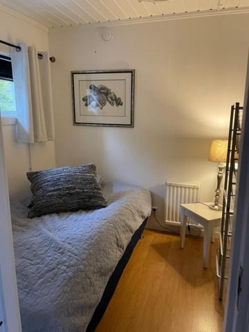 萨伦Lillhuset Norr Sälens By的一间卧室配有一张床和一张带台灯的桌子