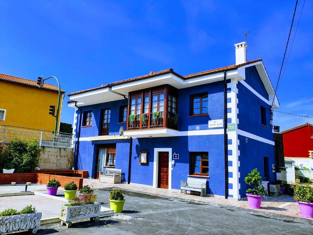 布迪皮拉格斯Albergue Piedad的一座蓝白色房子,前面有植物