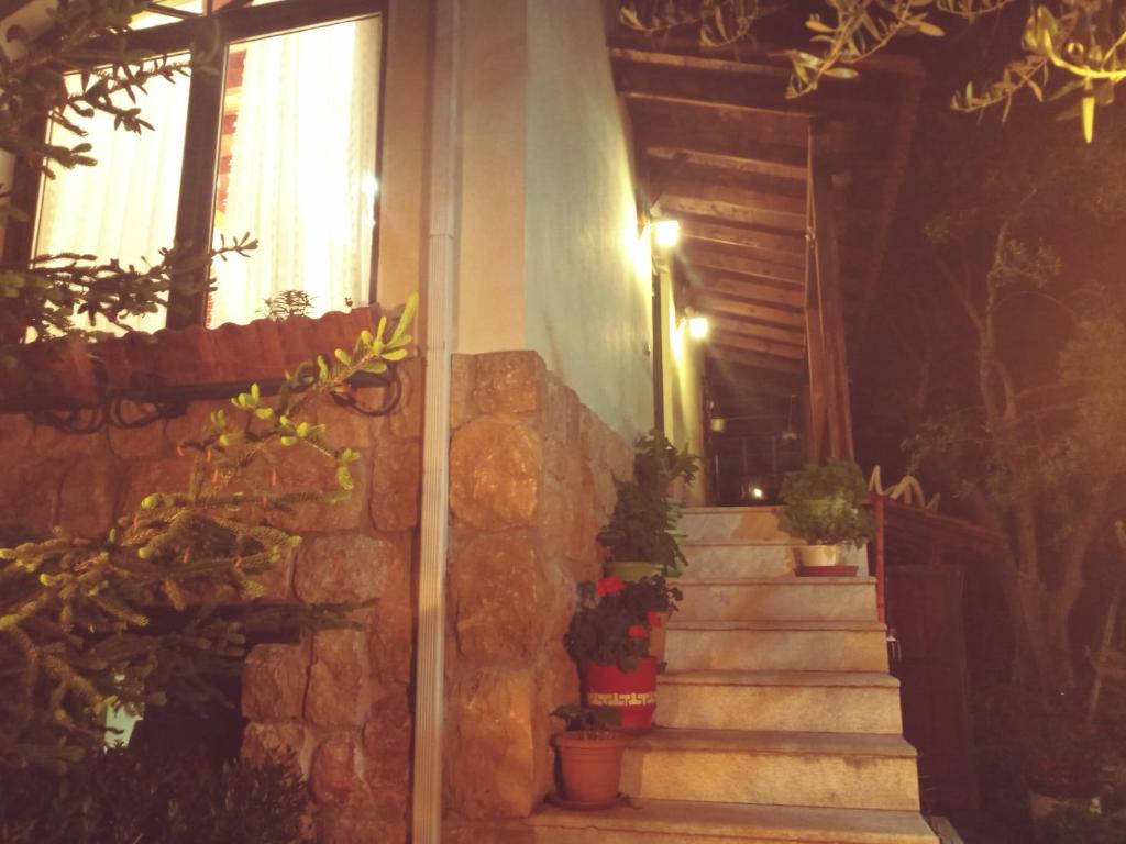 锡季罗卡斯特龙oniron的建筑一侧有盆栽植物的楼梯