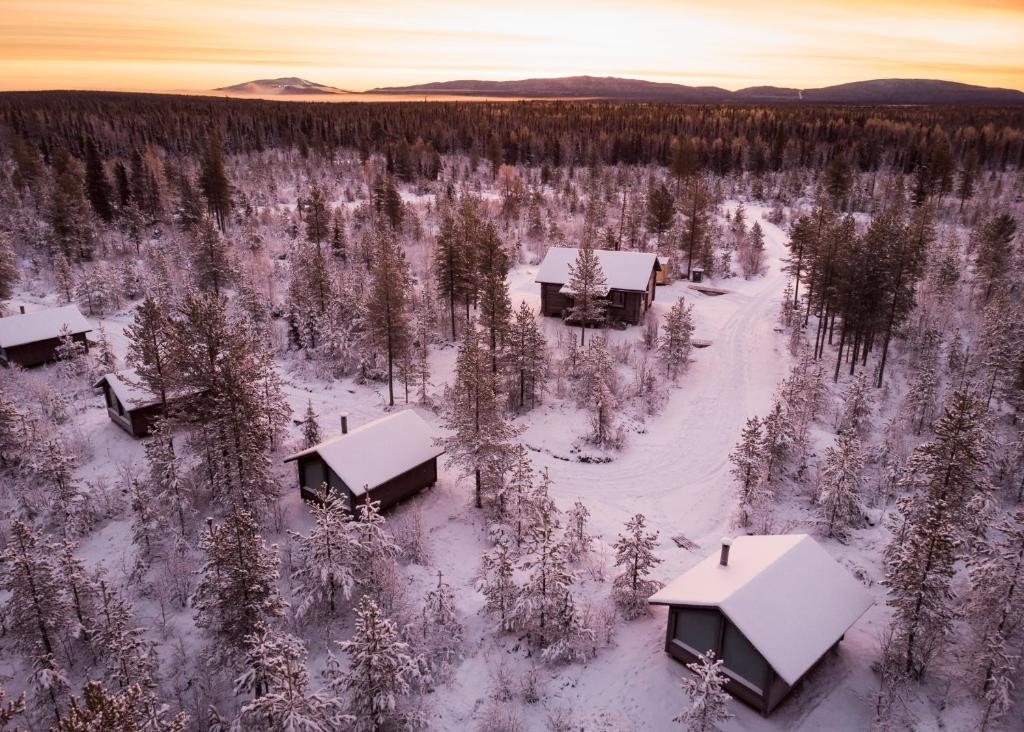 锡尔卡Polar Lights Lodge的享有雪覆盖森林的空中美景,设有房屋