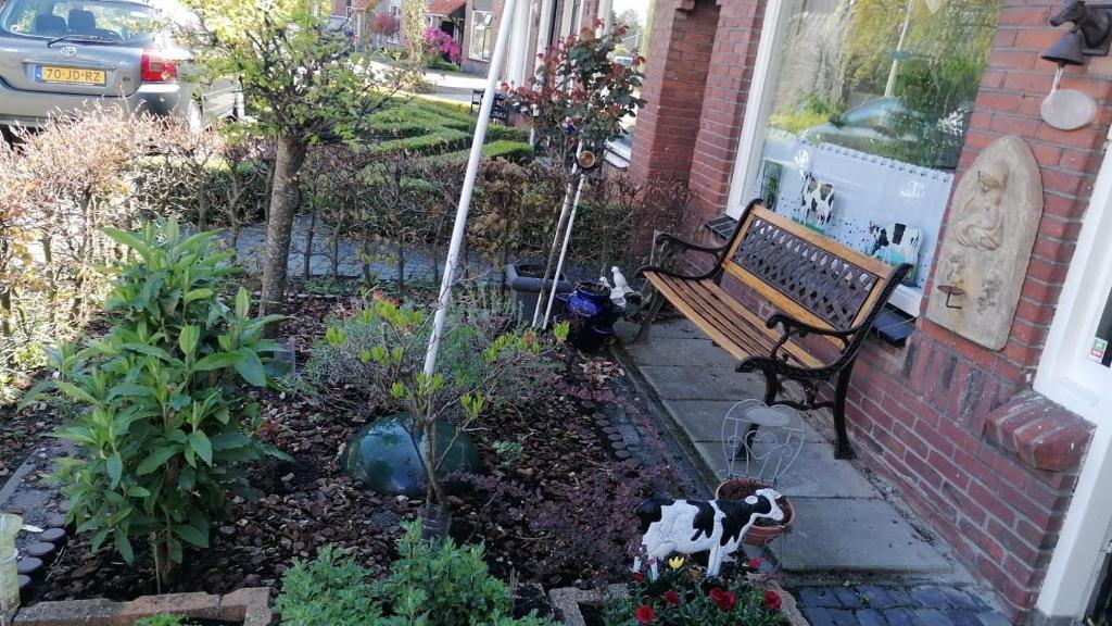 图贝尔亨B&B Bij de koeien的一个带长凳和一些植物及花的花园