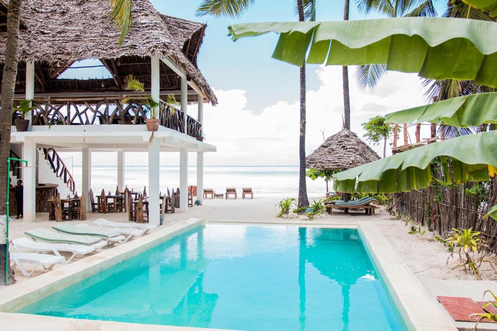 帕杰Maisha Matamu Beach Hotel Paje的海滩度假胜地的游泳池,配有椅子和遮阳伞