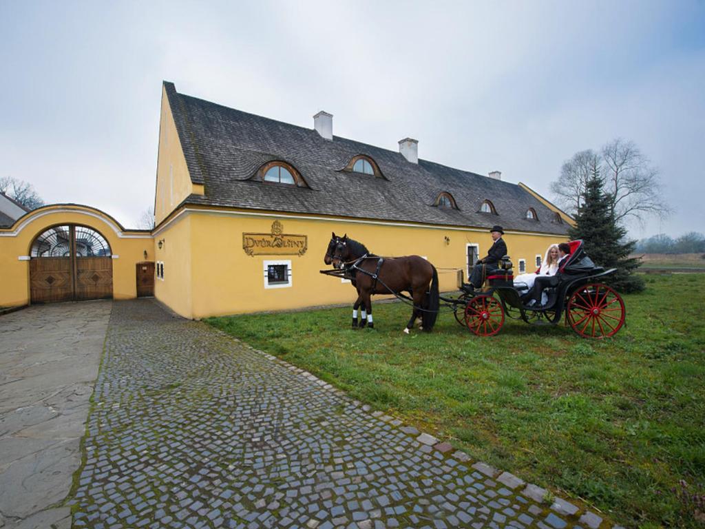 卡尔维纳德沃奥尔米骑马酒店的一只马在黄色建筑前拉马车