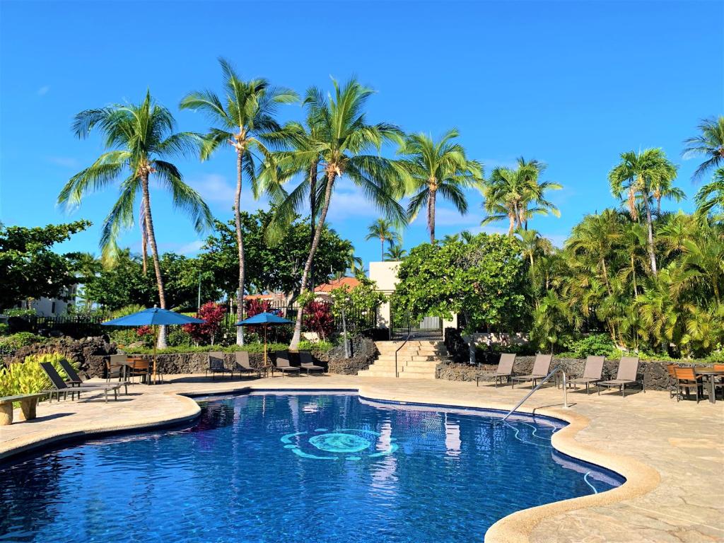 瓦克拉Coconut at Shores - Waikoloa Beach Resort的棕榈树度假村的游泳池