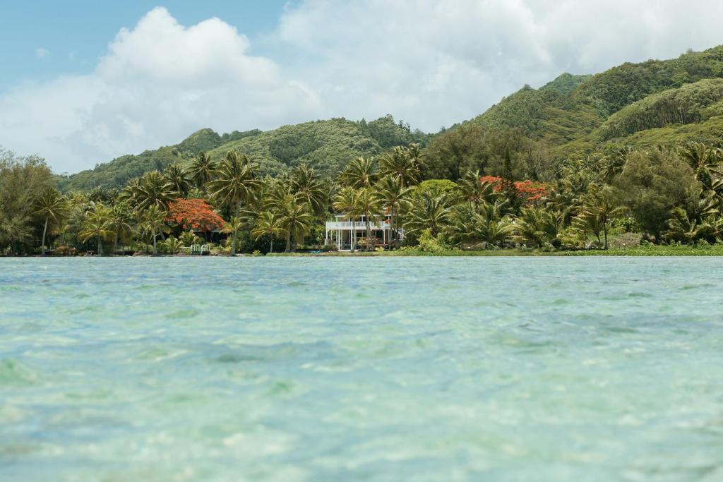 拉罗汤加穆里泻湖碧斯海滨度假屋的水体岸边的房子