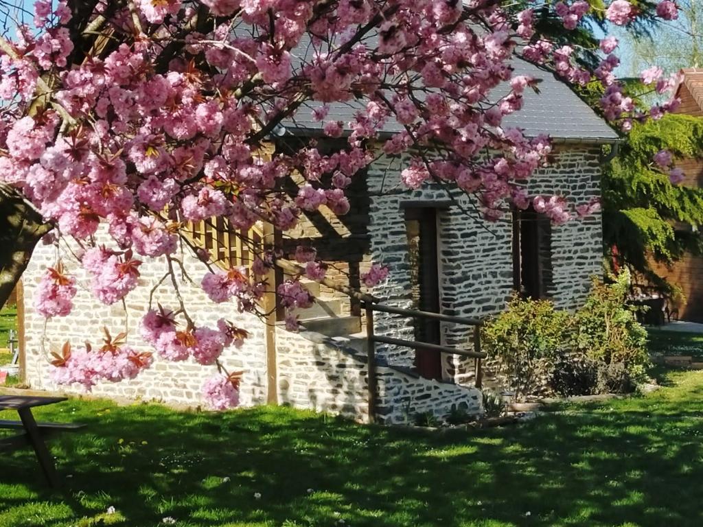 Ménil-Hubert-sur-OrneLes Gites de la Valette的房子前有粉红色花的树