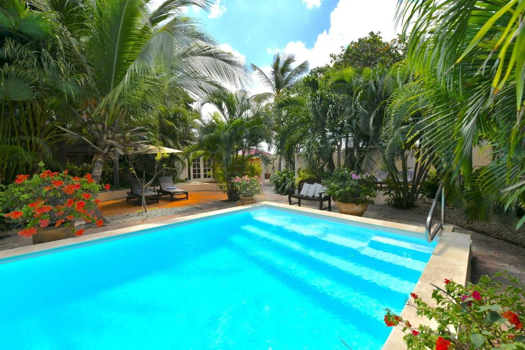 奥拉涅斯塔德旺特斯精品酒店的棕榈树别墅内的游泳池