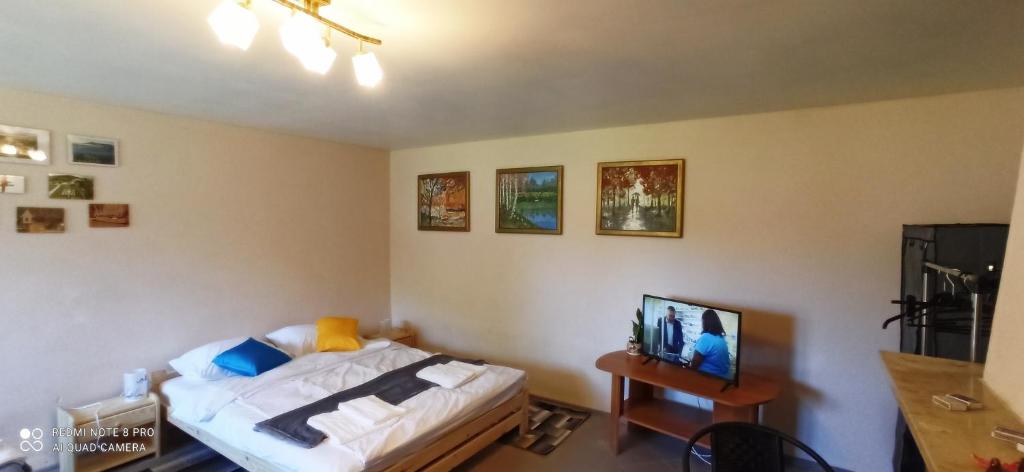 Miedziana GóraDomek w Ćmińsku的一间卧室配有一张床和一张桌子及电视