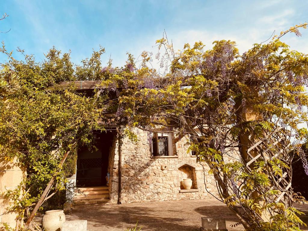 帕图VIGNA VECCHIA的一座古老的石头房子,前面有树木