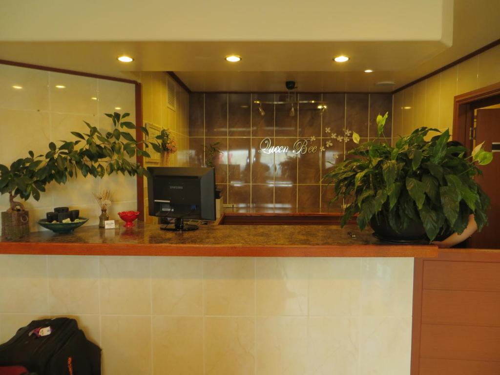 温尼伯蜂王酒店的大厅,在柜台上放有电视和植物