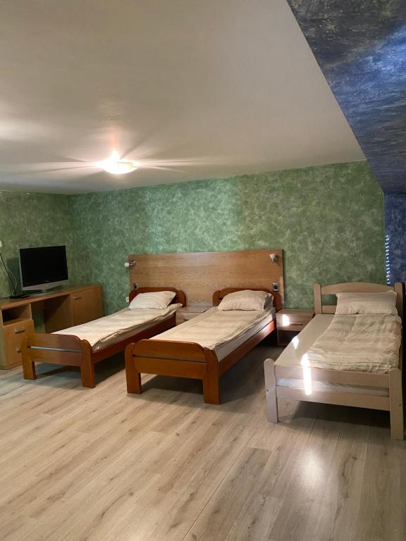 尼克希奇Apartments & Camp Stanišić的一间设有两张床和一台电视的房间