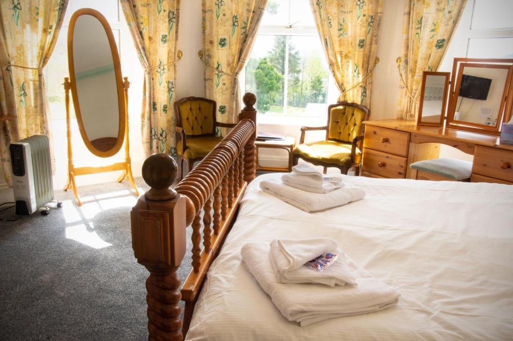 布莱奈费斯蒂尼奥格isallt guesthouse的一间卧室设有两张床和大镜子