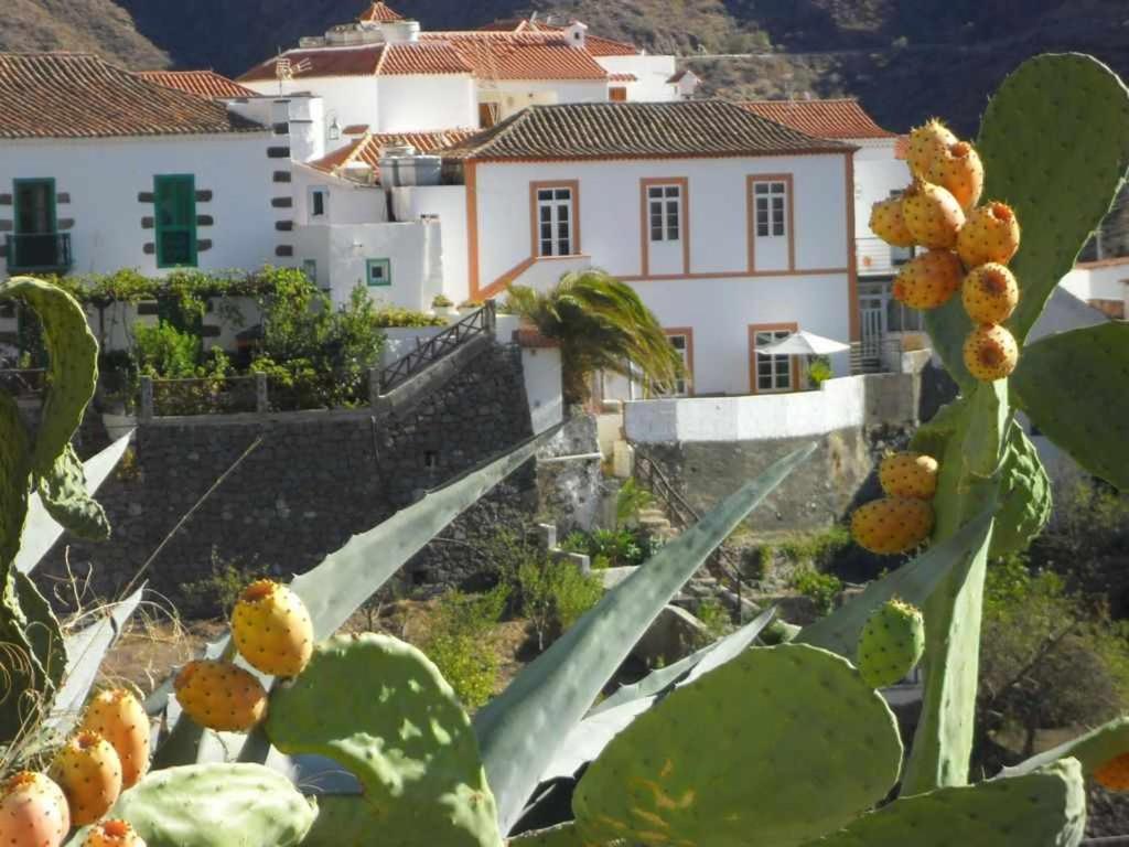 克鲁兹·德·特赫达Casa Rural Las Cáscaras Tejeda Gran Canaria的房屋和仙人掌的景色