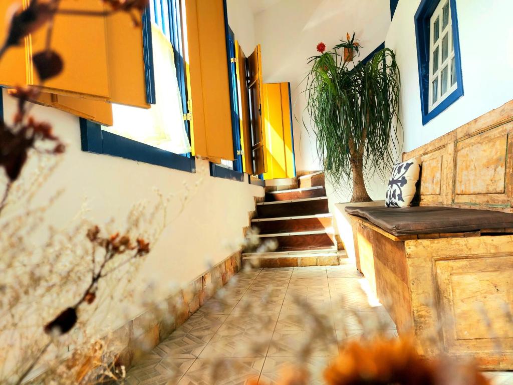 欧鲁普雷图Pousada Janelas de Ouro Prêto的走廊上设有黄色门,楼梯上设有盆栽